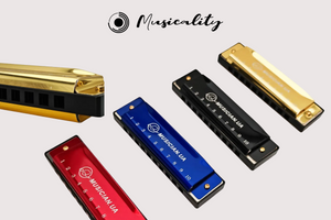 Music around the campfire: why the harmonica is the perfect instrument for hiking and camping photo